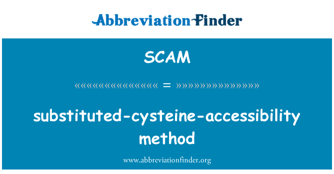 SCAM: substituert-cysteine-tilgjengelighet-metoden