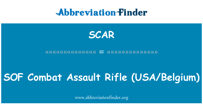 SCAR: SOF Combat Assault Rifle (USA/Beļģija)