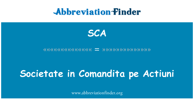 SCA: 在 Comandita pe Actiuni Societate