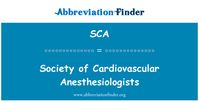 SCA: 心血管麻醉医师协会