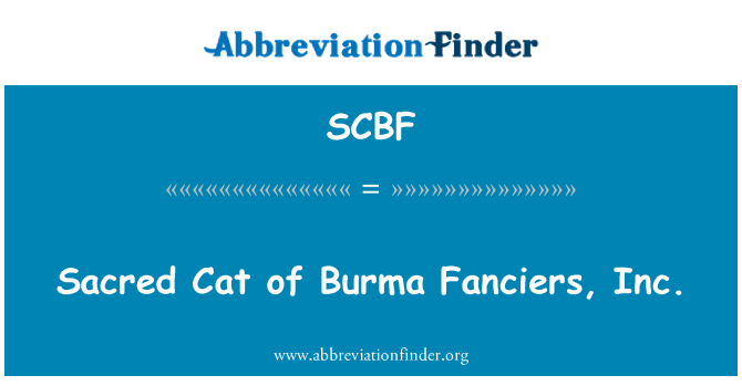 SCBF: Püha Birma harrastajad, Inc kass