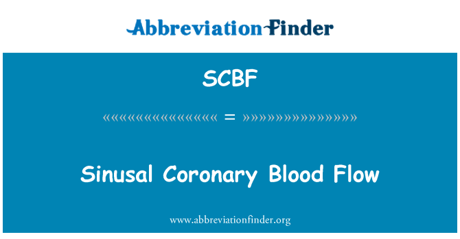 SCBF: 窦冠状动脉血流量