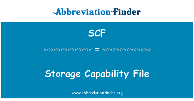 SCF: Fişier de capacitatea de stocare