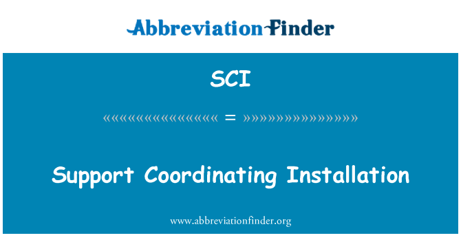 SCI: Asistenţă coordonarea instalare