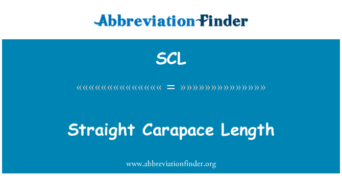 SCL: Дължина на прави черупката