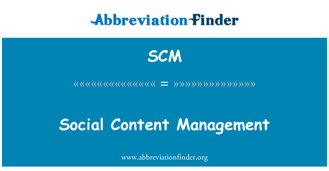 SCM: Socialinio turinio valdymo