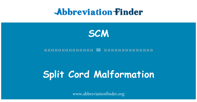 SCM: Malformation cordon Split