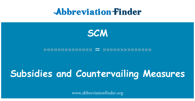 SCM: Subsidies and Countervailing Measures