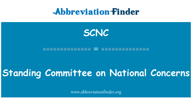 SCNC: Standing Committee on National Concerns