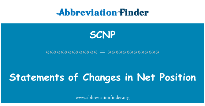 SCNP: Declaraţii de schimbări în poziţia netă