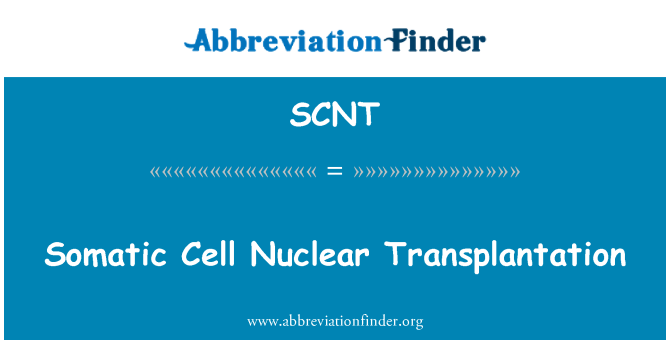 SCNT: Somatic Cell Nuclear Transplantation