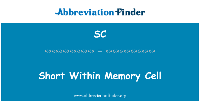 SC: ภายในเซลล์หน่วยความจำสั้น