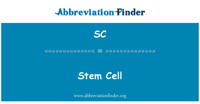 SC: Stem Cell