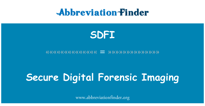 SDFI: דימות משפטית דיגיטלי מאובטח