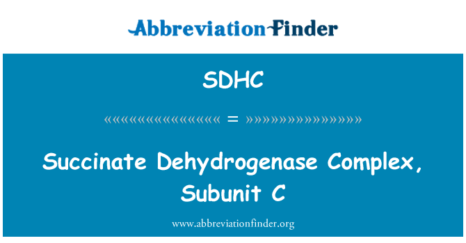 SDHC: سوكسينات دهيدروژناز مجتمع زیرواحد C