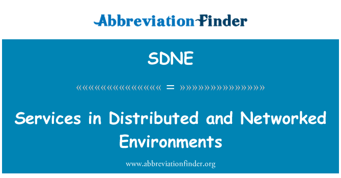 SDNE: 在分散式、 網路化環境中的服務