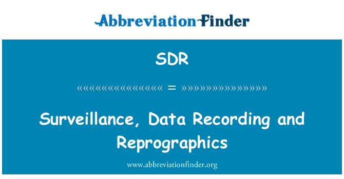 SDR: Dohled, Data záznamu a reprografické
