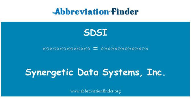 SDSI: 协同数据系统有限公司