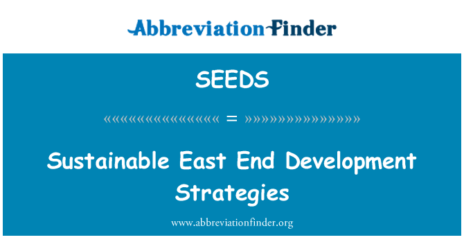 SEEDS: אסטרטגיות לפיתוח בר קיימא איסט אנד