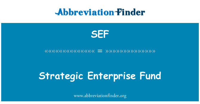 SEF: Enterprise èstratejik fon