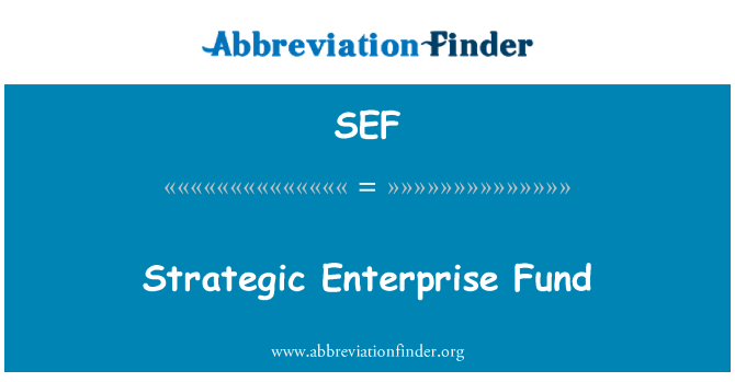 SEF: Strategic Enterprise Fund