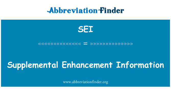 SEI: Supplemental Enhancement Information