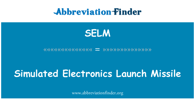 SELM: सिम्युलेटेड इलेक्ट्रॉनिक्स प्रक्षेपण प्रक्षेपास्त्र