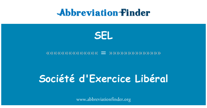 SEL: Société d'Exercice Libéral