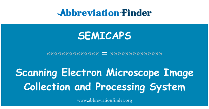 SEMICAPS: Elektronový mikroskop obraz kolekce a systém zpracování