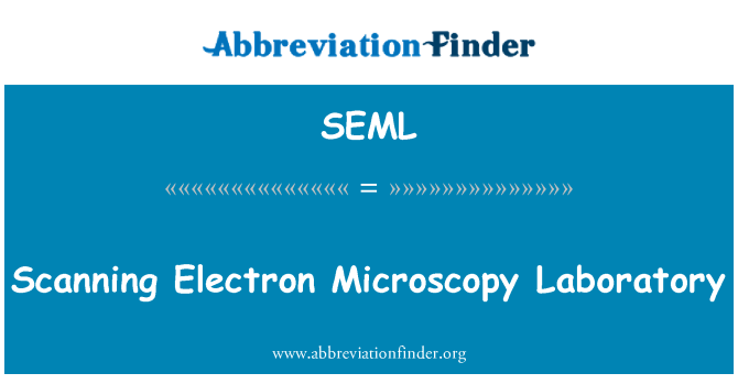 SEML: Laboratorio de microscopía electrónica de barrido