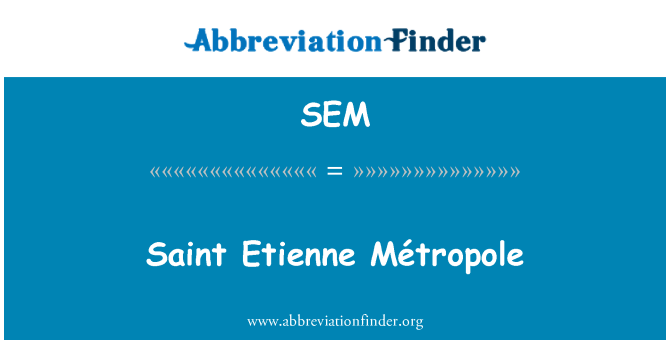 SEM: Saint Etienne Métropole