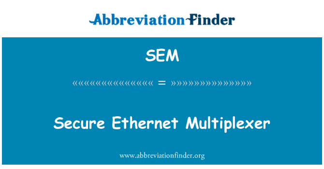 SEM: 安全以太网多路复用器