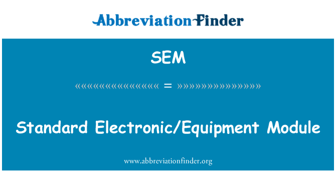 SEM: 标准电子/设备模块