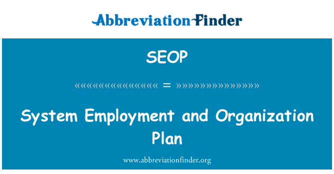SEOP: System-Beschäftigung und Organisation Plan