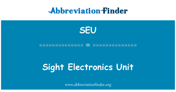 SEU: Sight Electronics Unit