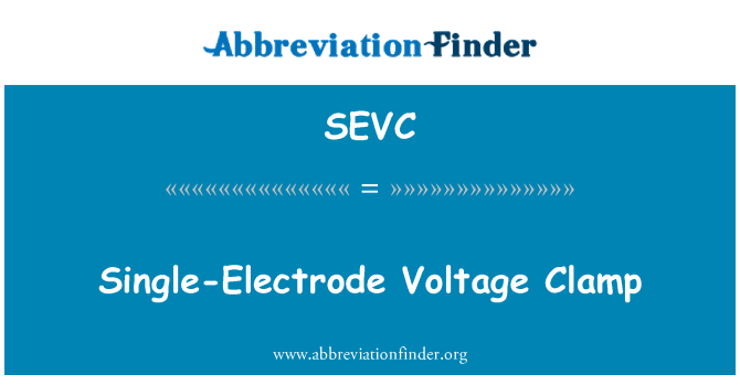 SEVC: Single-Electrode Voltage Clamp