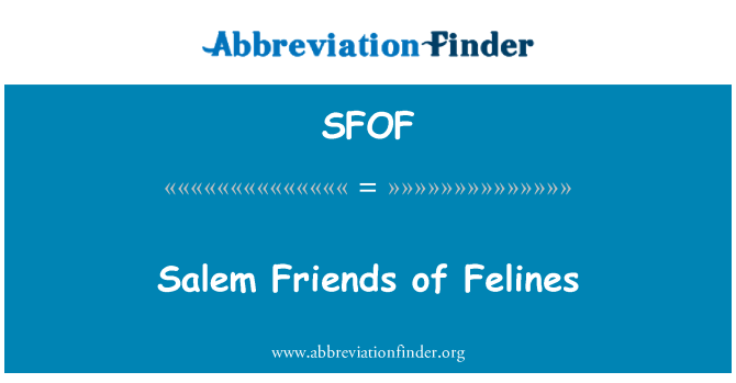 SFOF: Salem, zanmi Felines