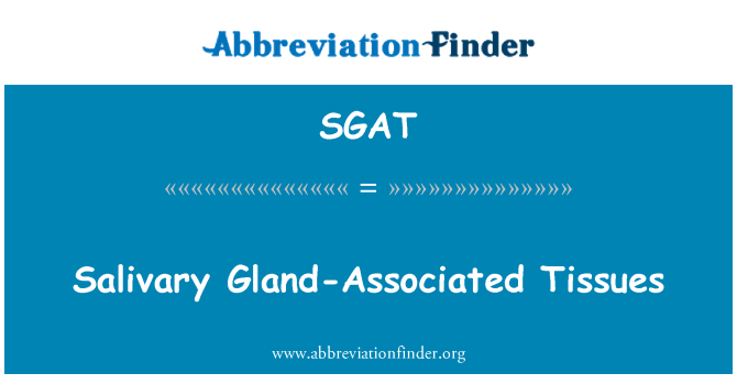 SGAT: 침 샘-관련 된 조직