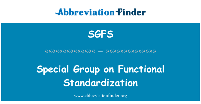 SGFS: Special Group on Functional Standardization