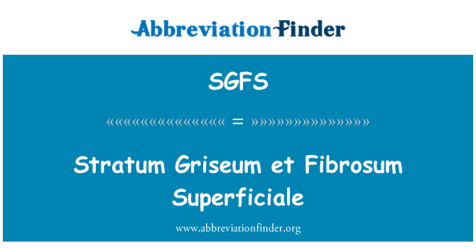 SGFS: Vrstva Griseum et Fibrosum plošnou