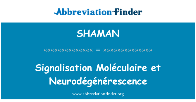 SHAMAN: ساگنالاسشن Moléculaire اور Neurodégénérescence