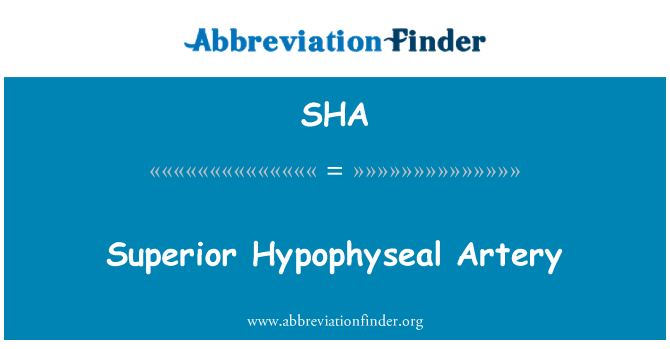 SHA: Üstün Hypophyseal arter