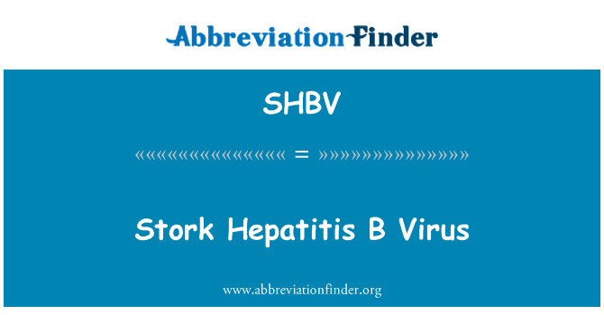 SHBV: コウノトリの B 型肝炎ウイルス