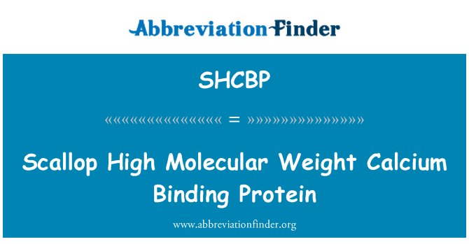 SHCBP: Muszelki wysokiej masie cząsteczkowej wapnia wiązanie białka