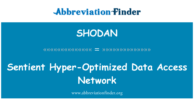 SHODAN: Juslių hiper-optimizuotas duomenų prieigos tinkle