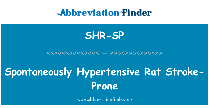 SHR-SP: Spontaneously فرط تناؤ چوہا سٹروک کے شکار