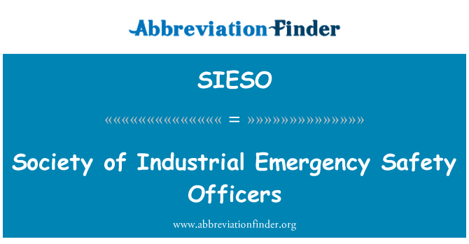 SIESO: 社会的工业紧急安全主任