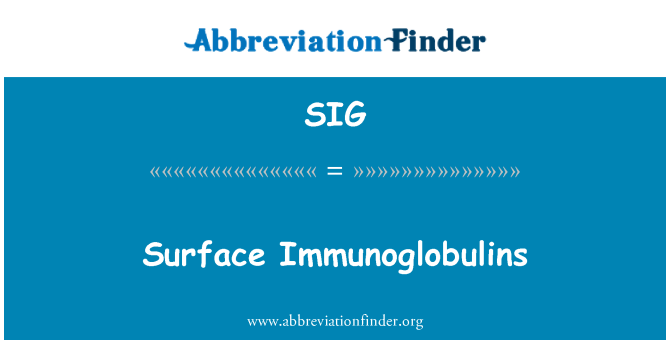 SIG: Sifas du