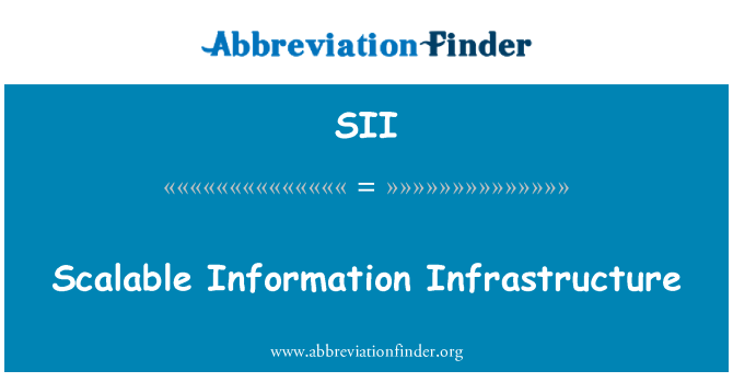 SII: 可扩展性的信息基础设施