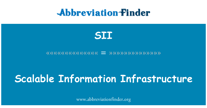 SII: پیمانی اطلاعاتی انفراسٹرکچر